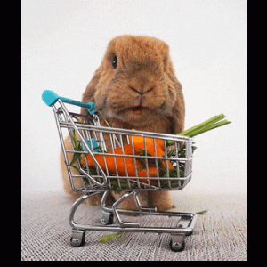 bunny with shopping trolly